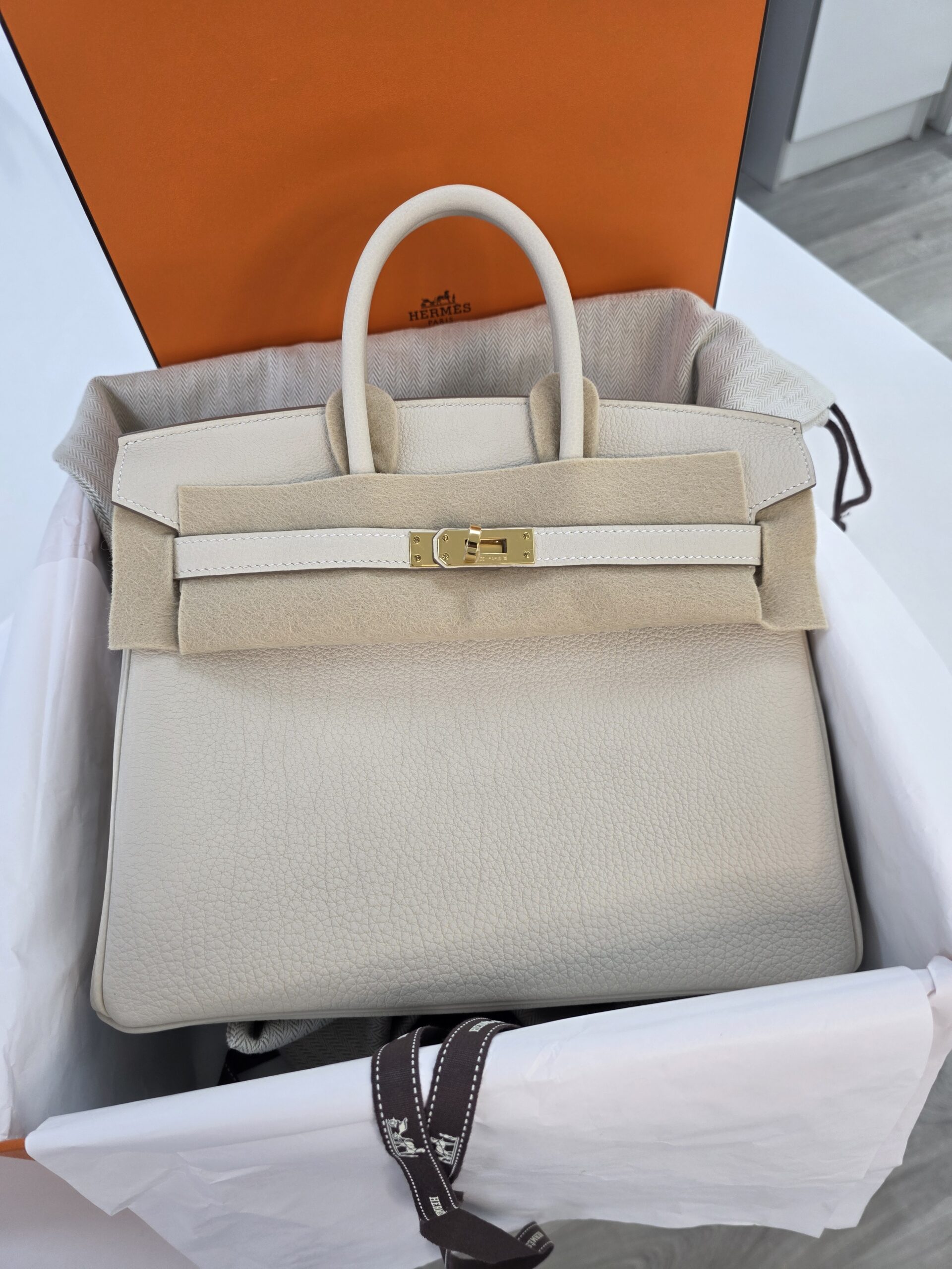 Hermès Birkin 25 -  Cream Togo | Gold Hardware 2025